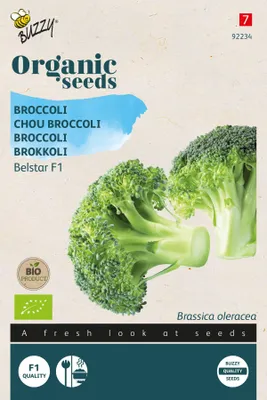 Obrázek produktu pro Brokolice Belstar F1 |semena brokolice od Buzzy Seeds
