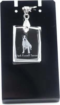 Image de Jack Russell Terrier - Pendentif en cristal avec chien, collier avec photo, bijoux uniques d'Art-Dog