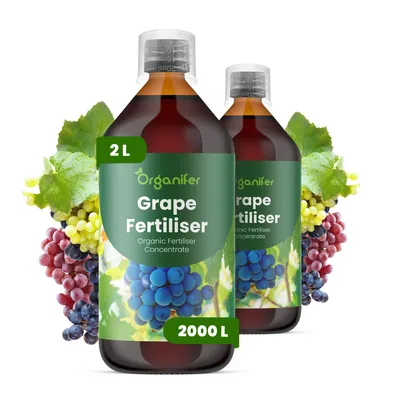 Obrázek produktu pro Hrozno Tekuté Hnojivo 2x1 L – 2-1-8 NPK – Pro Vinič – Podporuje Silný Růst & Zdravý Vývin – Organifer