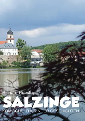 Produktbild von Salzinge