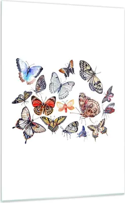 Produktbild von Bilder auf glas - Einteilig - Schmetterlinge Illustration Bunt Flügel - 70x100cm - Glasbilder - Wandbilder - Bilder - Wanddekoration aus Glas - Glas Bilder - Wandbild auf Glas - GPA70x100-2916