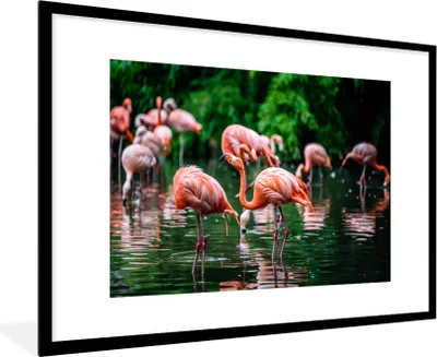 Produktbild von MuchoWow® Gerahmtes Poster Flamingo - Tropisch - Vogel - Wasser - Rosa 90x60 cm - Poster mit Schwarzem Bilderrahmen Wandposter Rahmen Foto Bilder - Wanddekoration - Fotos