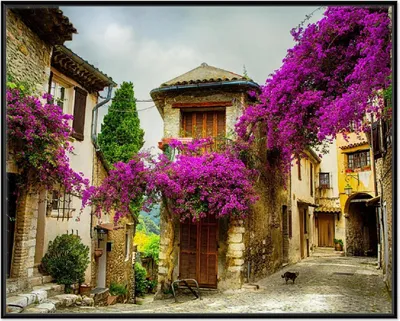 Produktbild von Wallario Wandbild Malerische Stadt in der Provence mit bunten Blumen, Größe: 40,30 x 50,30 cm, Poster mit schwarzem Aluminiumrahmen