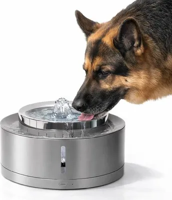 Image de Fontaine à eau 5w pour animaux - E.ziclean - NUTRIBOTWATERX -