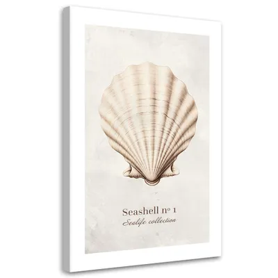 Produktbild von Leinwandbild Natürliche Muschel 80x120 Feeby Beige bild für die wand bereit zum aufhängen