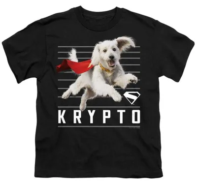 Image de T-shirt enfant Superman - "2025" (TV36670) (Taille 104) - Noir