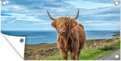 Produktbild von MuchoWow® 160x80 cm Outdoor-Poster Gartendeko Sichtschutz Garten Poster für den Garten  Schottische Highlander - Wolken - Landschaft