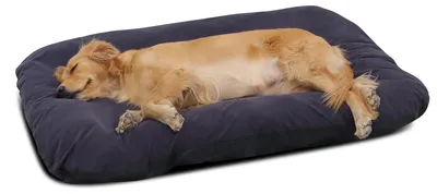 Produktbild von Hundekissen für große und mittelgroße Hunde - Waschbar und rutschfest