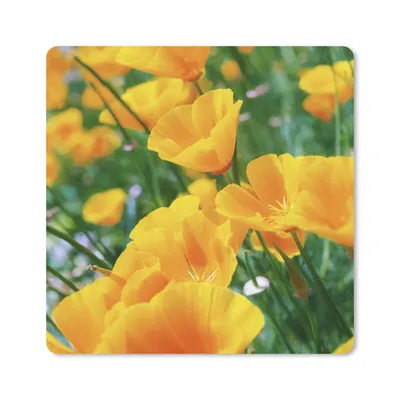 Produktbild von MuchoWow® Mauspad Mousepad Blumen - Garten - Orange 20x20 cm - Mousepads - Maus Mat - Pad - Mausunterlage - Desk Mat - Bureauartikeln
