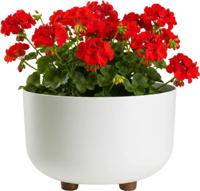 Produktbild von HowHomely | Blumentopf - Pflanzkübel - 17 x 26 cm - creme - aus Recyclingmaterial - Pflanzgefäß - mit Füßen
