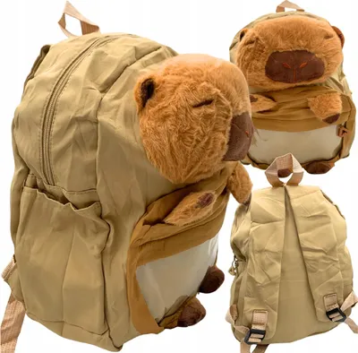 Obrázok produktu pre Školský batoh Capybara 3D maskot Ľahká priestranná školská taška