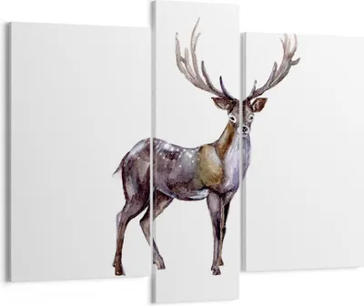 Produktbild von Bild auf Leinwand - Leinwandbild - Liebes Tier Wild Wald - 95x80cm - Wand Bild - Wanddeko - Leinwanddruck - Bilder - Kunstdruck - Wanddekoration - Leinwand bilder - Wandkunst - CB95x80-2938