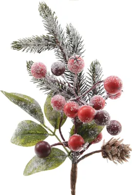 Produktbild von Tannenzweig 24cm mit Beeren, Zapfen und Schnee künstlich grün / rot