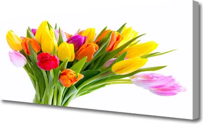 Produktbild von Tulup Leinwand-Bilder 125x50 Wandbild Canvas Kunstdruck Tulpen Pflanzen