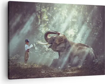 Produktbild von Bild auf Leinwand - Leinwandbild - Elefant Dschungel Stoßzahn - 70x50cm - Wand Bild - Wanddeko - Leinwanddruck - Bilder - Kunstdruck - Wanddekoration - Leinwand bilder - Wandkunst - AA70x50-3486