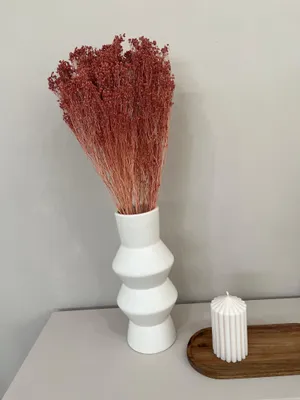 Zdjęcie produktu dla Broom Bloom - suszone kwiaty - 1 wiazka (ok. 40 - 50cm) - efektowna dekoracja