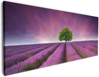 Produktbild von Wallario Premium Leinwandbild Lila Blumenfeld in Größe 60 x 150 cm