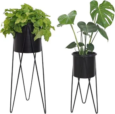 Produktbild von Famanu Plantentafel Set aus 2 - 71 x 27 x 27 cm