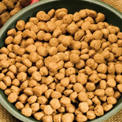 Produktbild von 1,5 kg  - Schecker - Senior Spezial - Trockenfutter für ältere Hunde - niedriger Proteingehalt