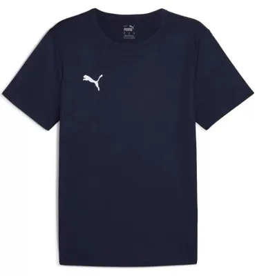 Image de Maillot de match Puma Teamrise pour hommes, référence 70613206