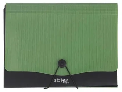 Image de Chemise Vfile A4 avec 13 intercalaires c.vert STRIGO