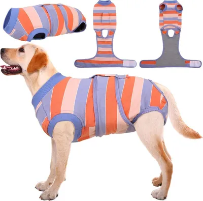 Produktbild von Kuoser Hundebody Nach Op Rüde Hündin Atmungsaktiv Orange Blau