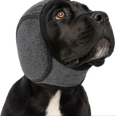 Image de INF Protection d'oreille étanche pour chien - Natation et soulagement de l'anxiété Gris S