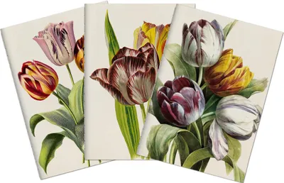 Image de Set de trois carnets Purple Tulips