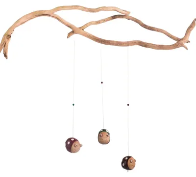 Obrázek produktu pro Věšák na okno "Brouk