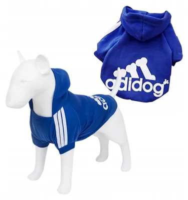 Produktbild von Petinio Adidog Hundepullover Blau Größe S