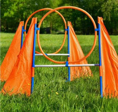Produktbild von 2-Profi-Agility-Hürden, Agility-Hürden-Set für kleine & große Hunde-Training Sport Parcour Zubehör Hürden Sprungring Sprunghürde (nur Hürden enthalten