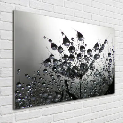 Produktbild von Tulup® Glas-Bild - 100 x 70 - Wandbild aus Glas - Wandkunst - Wandbild hinter gehärtetem Sicherheitsglas - Blumen & Pflanzen - Löwenzahnsamen - Schwarzweiß