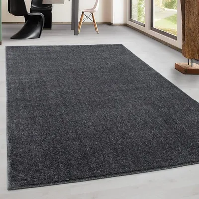 Produktbild von TapisTrend Designerteppich Grau 160x230 cm Grauer Indoor-Teppich fürs Wohnzimmer, modernes Design, Flachgewebe, Bohème-Stil, waschbar