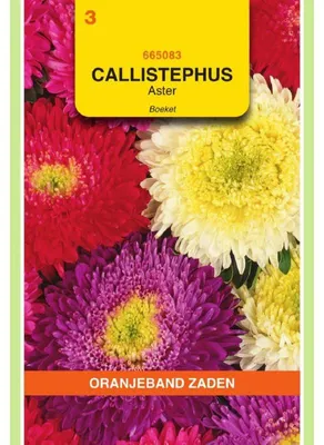 Obrázek produktu pro Oranjeband Callistephus Chinensis, bukettová odrůda "Powderpuff", 1 balení semen