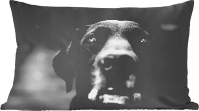 Produktbild von MuchoWow® Zierkissen Sofakissen Wohnzimmer Dekokissen 60x40 cm Tierprofil Labrador Hund in schwarz und weiß - Kopfkissen - Polster mit Foto