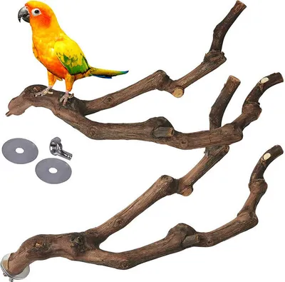 Produktbild von Vogelspielzeug, Papageienspielzeug, Astständer, Vogelkäfigzubehör