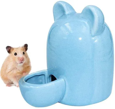 Produktbild von Automatischer Wasserspender für kleine Haustiere – Trinkflasche aus Keramik, 250 ml