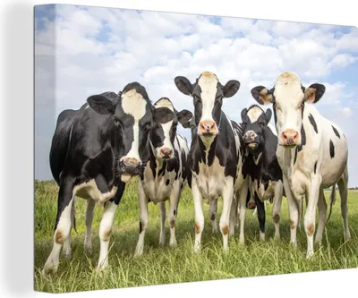 Produktbild von OneMillionCanvasses® - Leinwandbilder - 140x90 cm, Kuh - Gras - Wolken, Wandbilder Kunstdruck Wanddekoration