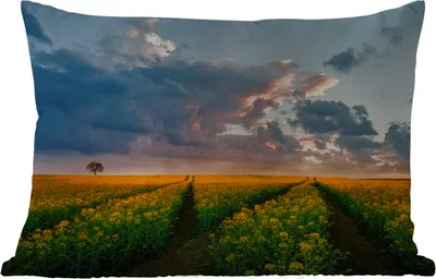Produktbild von MuchoWow® Outdoor Kissen - Blumen - Gelb - Sonnenuntergang - 50x30 cm - Wetterfest - Lounge Kissen - Sofa kissen - Wohnzimmer Dekoration