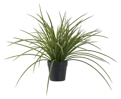 Obrázek produktu pro Tráva – Dekorativní umělá tráva, zelená, výška 45 cm