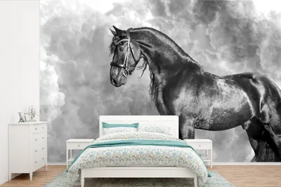Produktbild von Fotobehang mit Pferden - Schwarz-Weiß - Breite 360 cm x Höhe 240 cm