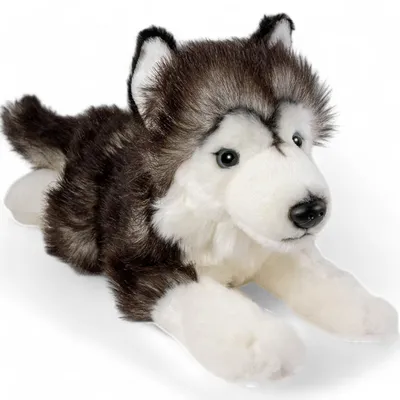 Zdjęcie produktu dla Carl Dick Husky, czarny, leżący ok. 32 cm 3552 Przytulanka, miękka zabawka, przytulanka