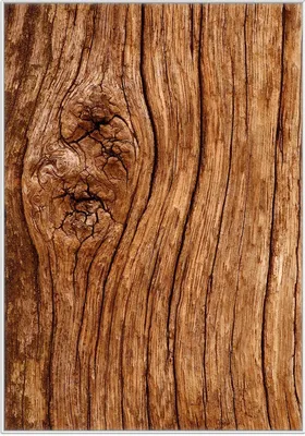 Produktbild von Wallario Wandbild Holzstamm mit Asteinschluss, Größe: 70,30 x 100,30 cm, Poster mit weißem Kunststoffrahmen