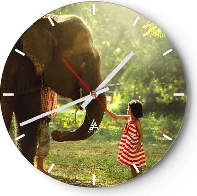 Produktbild von Wanduhr - Rund - Glasuhr - Elefant Tier - 30x30cm - Schleichendes Uhrwerk - Lautlos - zum Aufhängen bereit - Dekoration Modern - Wanddekoration aus Glas - C3AR30x30-3884