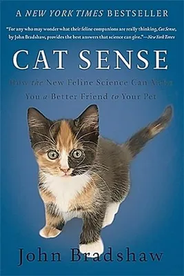 Image de Cat Sense