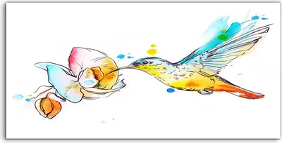 Produktbild von Coloray Glasbild 140x70  Wandbild Glasbilder Foto Bild groß Kolibri Vogel