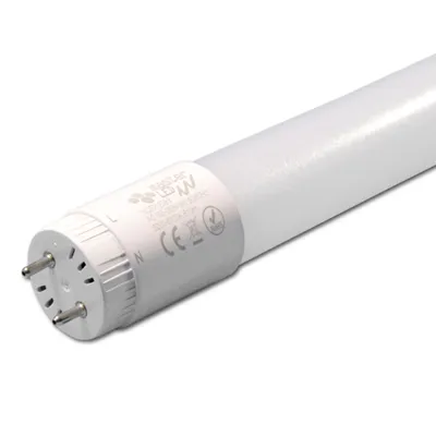Produktbild von MasterLED LED-Röhre T8 G13 60 cm 9 W 900 lm 6500 K Kaltweiß 230 V einseitig