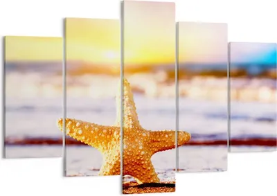Produktbild von Bild auf Leinwand - Leinwandbild - Starfish Strand Sand Ozean - 150x100cm - Wand Bild - Wanddeko - Leinwanddruck - Bilder - Kunstdruck - Wanddekoration - Leinwand bilder - Wandkunst - EA150x100-2815