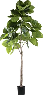 Produktbild von PTMD - Künstlicher Baum - Grün - 118 x 85 x 183 cm