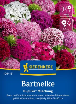 Produktbild von Kiepenkerl Blumensamen Bartnelke Mischung für ca. 60 Pflanzen